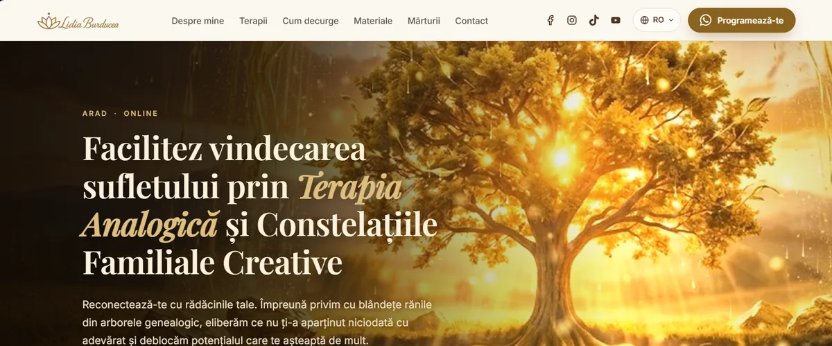 Captură de ecran a site-ului Lidia Burducea